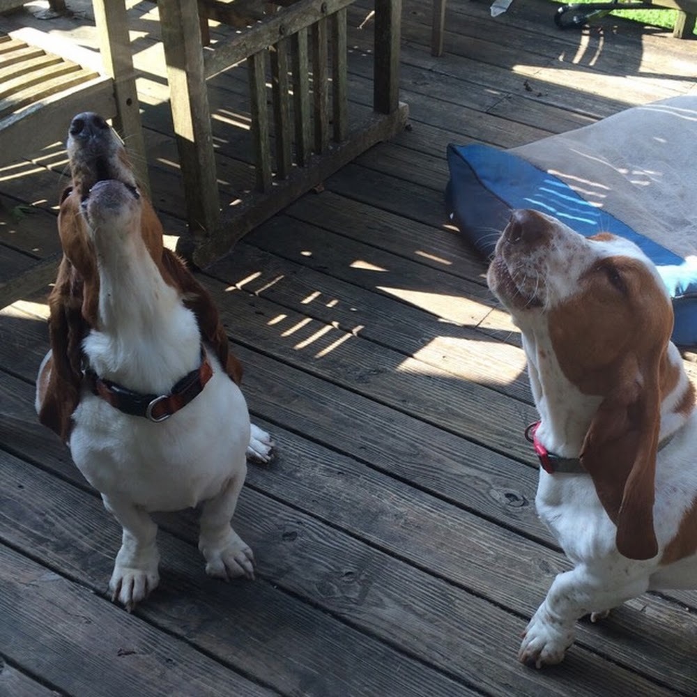 Meet your Posher, Jana